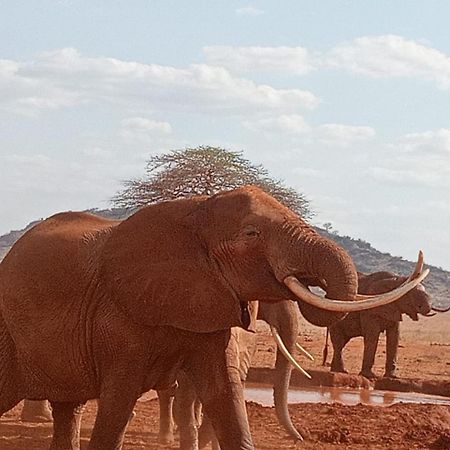 Tausa Tsavo Eco Lodge Voi Exterior foto