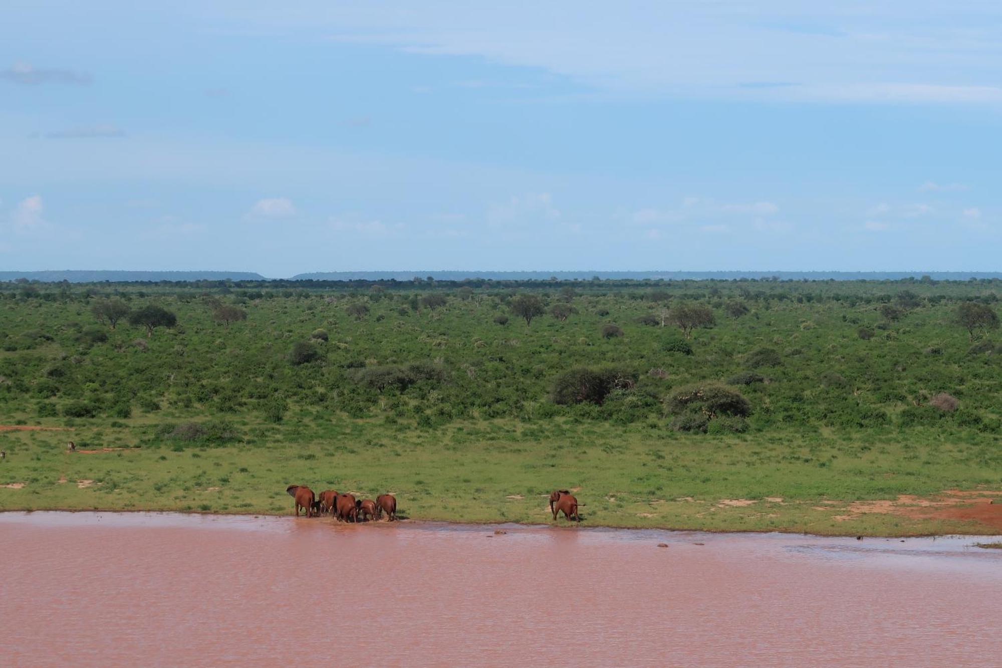 Tausa Tsavo Eco Lodge Voi Exterior foto