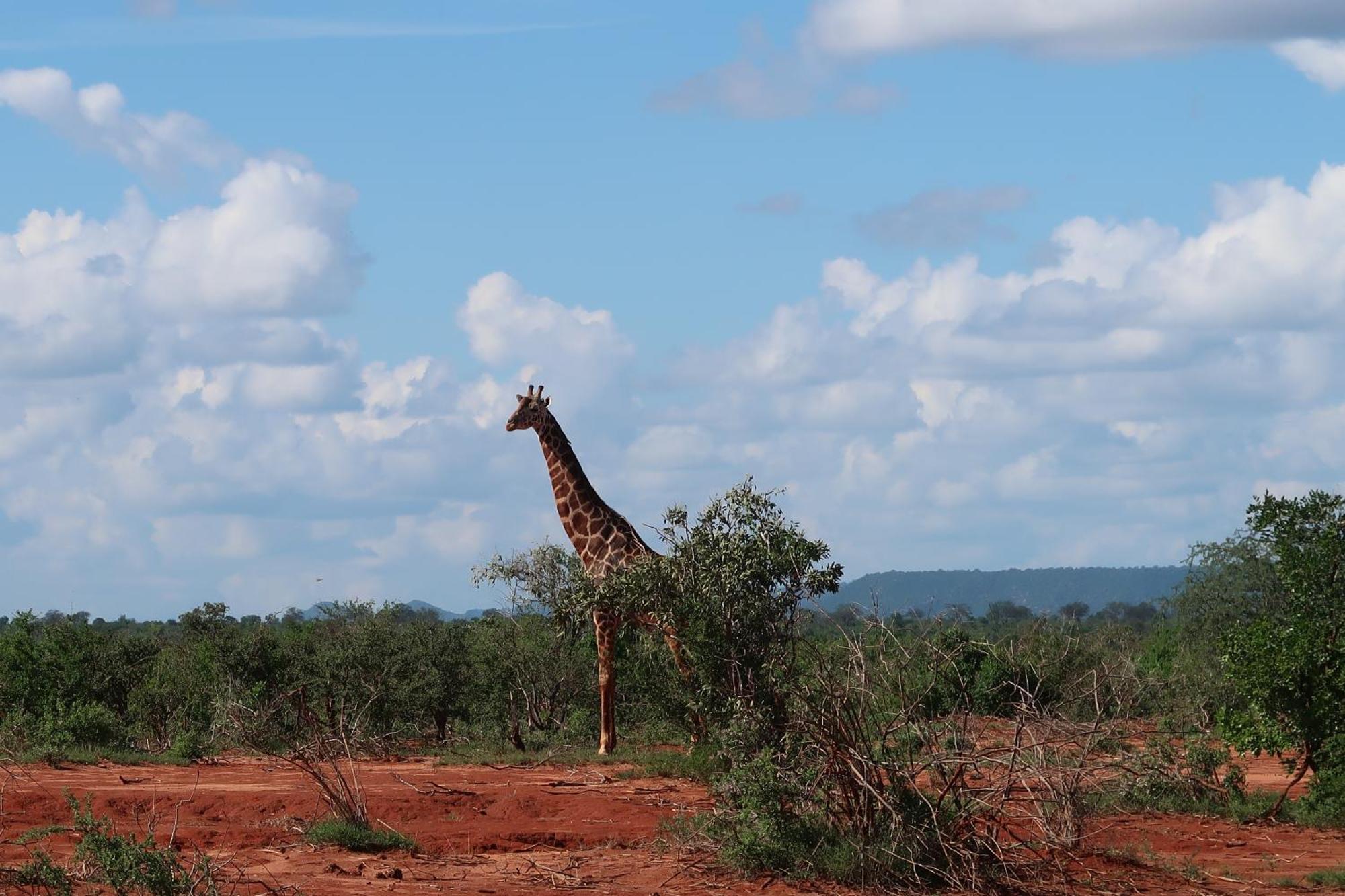 Tausa Tsavo Eco Lodge Voi Exterior foto