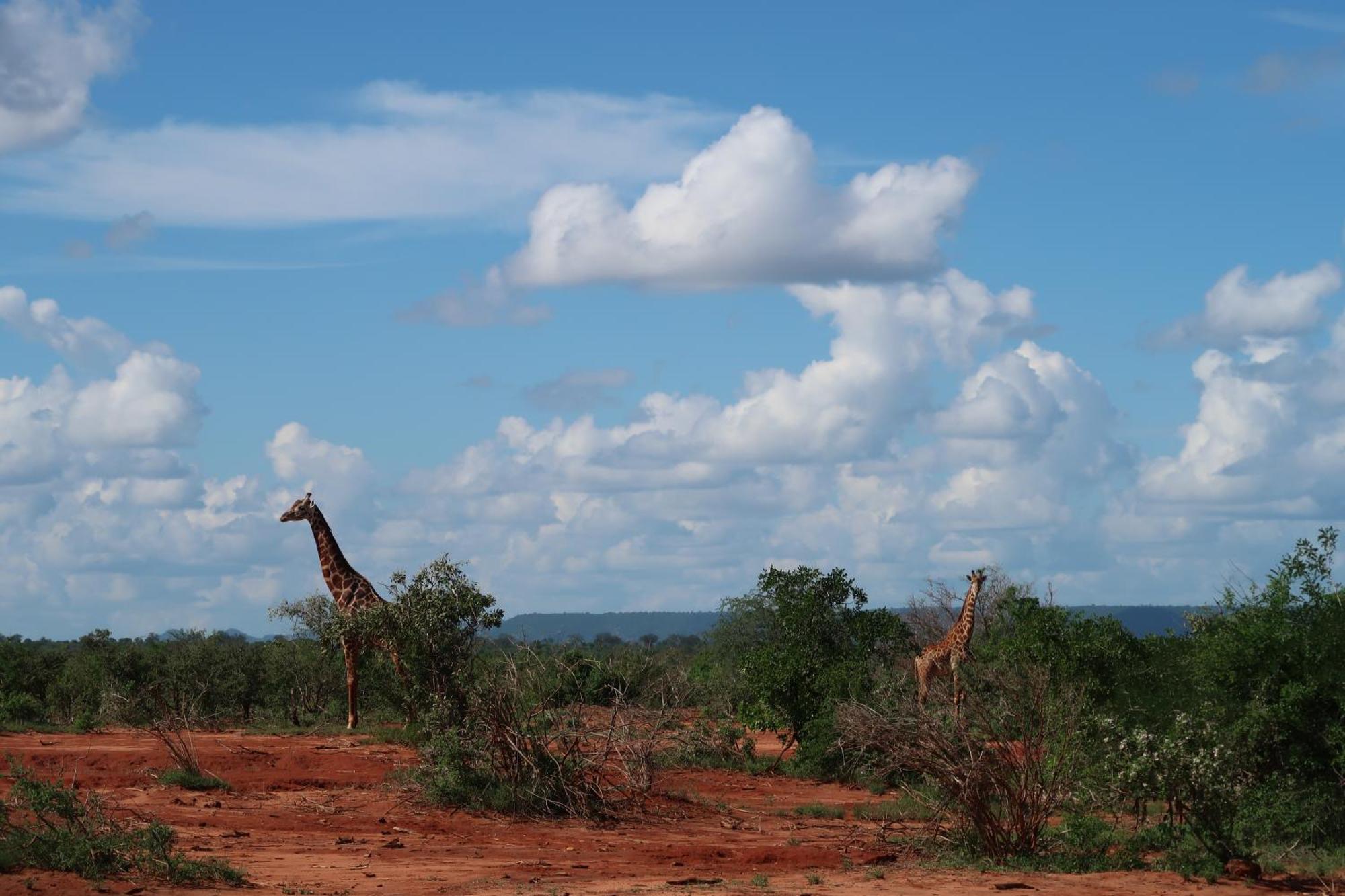 Tausa Tsavo Eco Lodge Voi Exterior foto