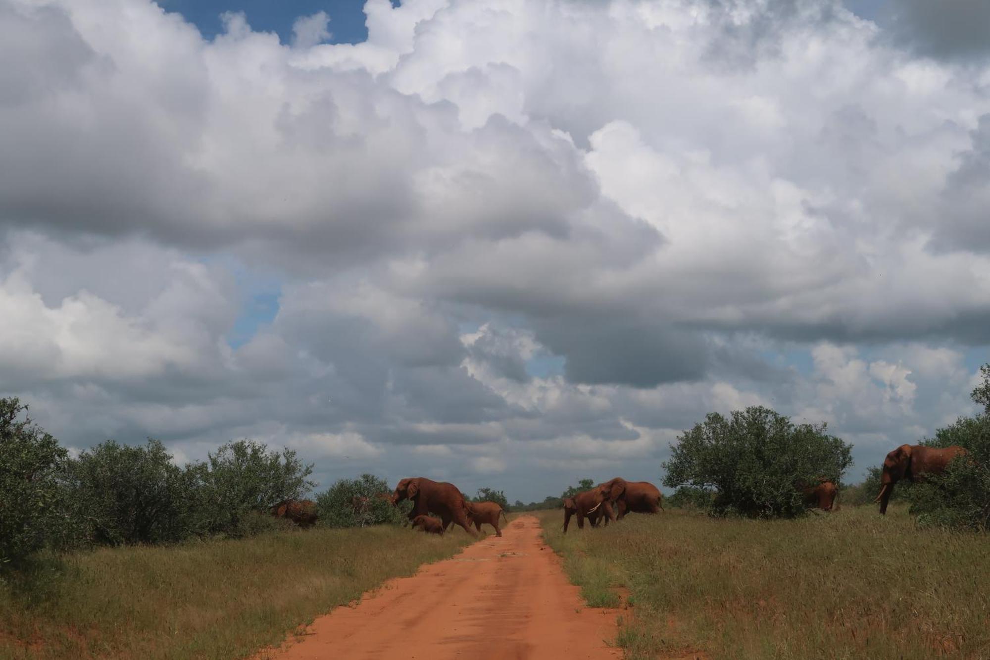 Tausa Tsavo Eco Lodge Voi Exterior foto